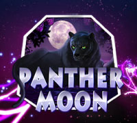 Panther Moon